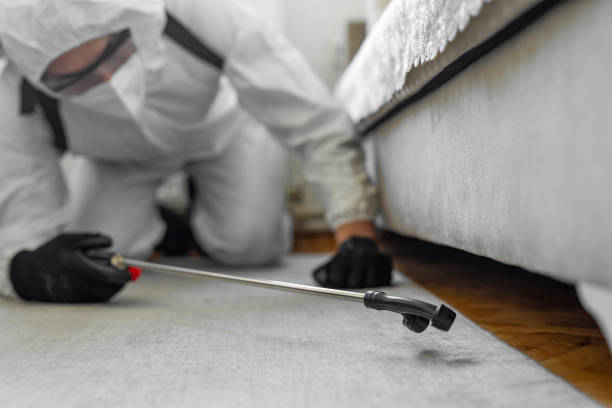 Professional Rodent Control technician working in Dexter, OR